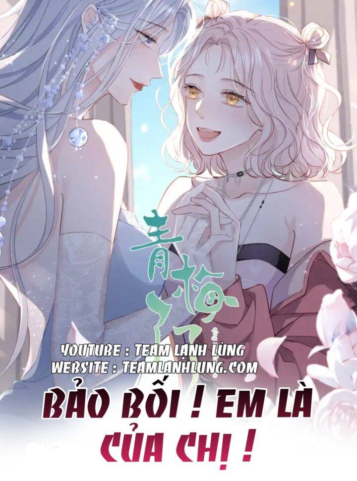 Bảo Bối ! Em Là Của Chị !