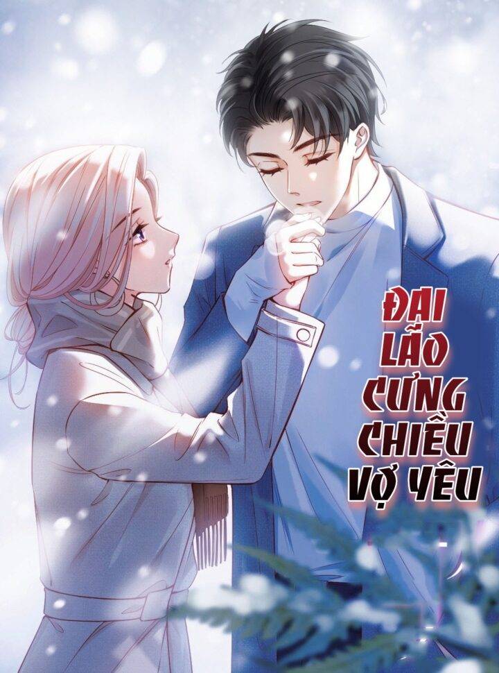 Đại Lão Cưng Chiều Vợ Yêu