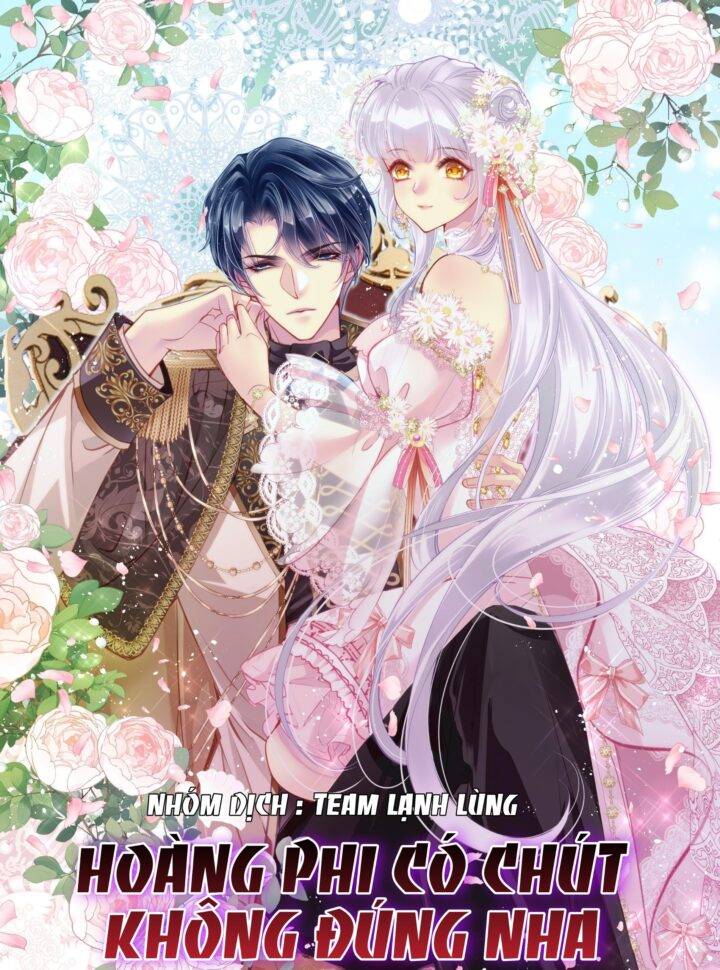 Hoàng Phi Có Chút Không Đúng Nha