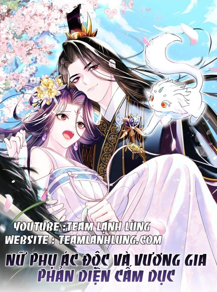 Nữ Phụ Ác Độc Và Vương Gia Phản Diện Cấm Dục