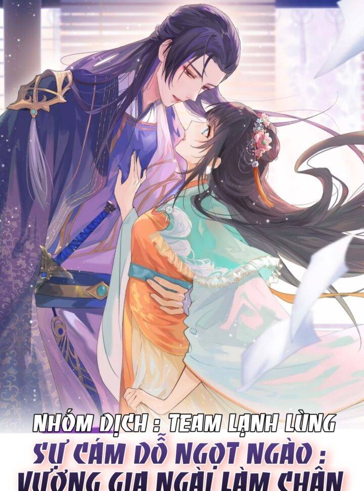 Sự Cám Dỗ Ngọt Ngào : Vương Gia Ngài Làm Chân Ta Mền Nhũn Rồi